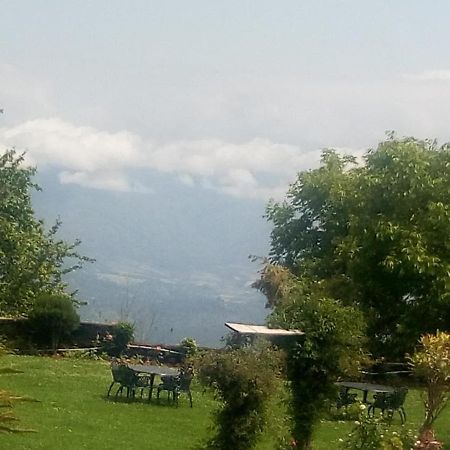 Vamoose Eco Lodge Chevron Kausani Bagian luar foto